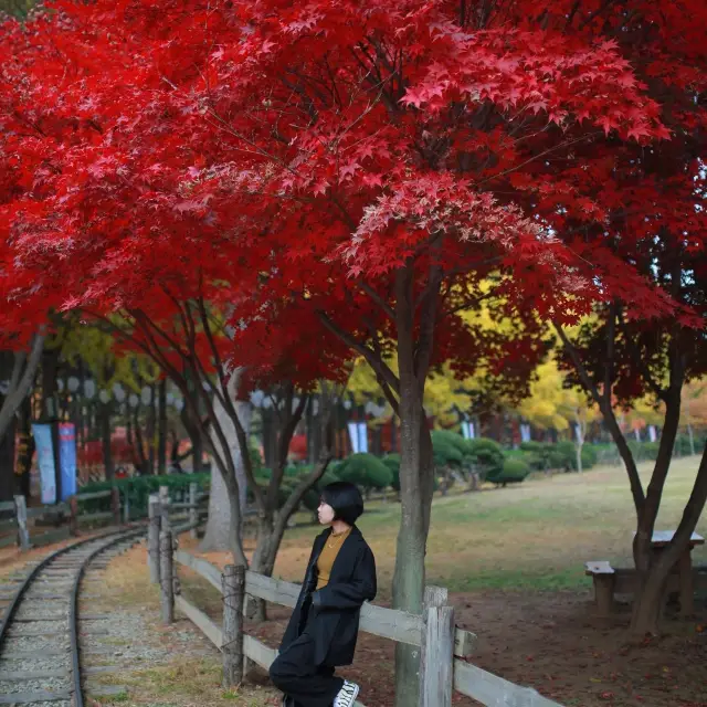 남이섬 여행