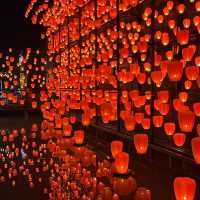 Lanterns miracle 