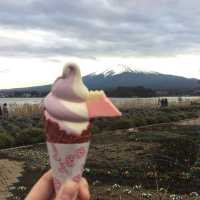 Ohaiyo Mt Fuji, Japan