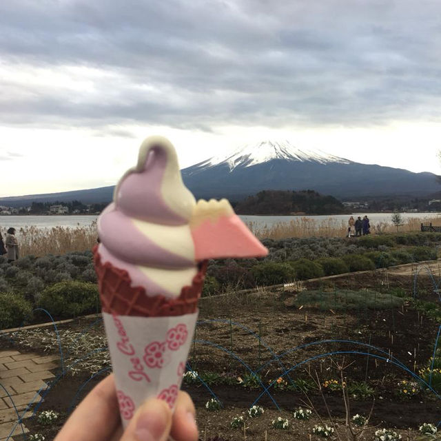 Ohaiyo Mt Fuji, Japan