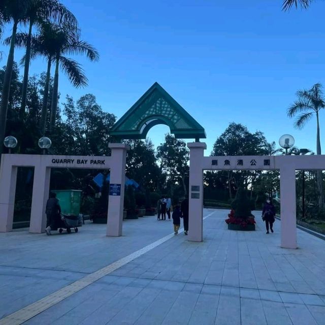 鰂魚涌公園+海濱長廊+寵物公園 鰂魚涌公園+海濱長廊+寵物公園