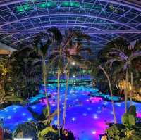 Therme Bucharest - spa, wellness & relaxation