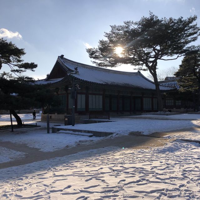 오늘은 내가 조선의 왕이로다~~! 유네스코에 등재된 창덕궁으로 고고싱😘