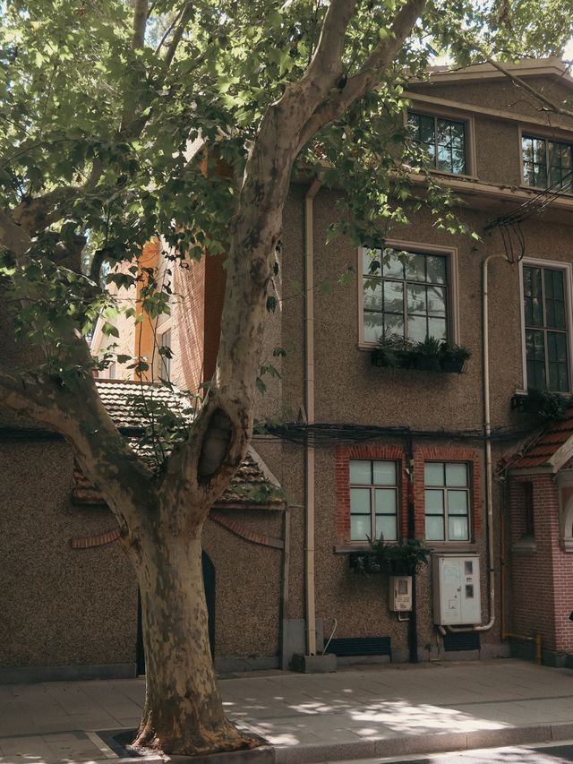 Former French Concession, Shanghai🌿🌱
