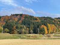 日本東北10日紅葉溫泉之旅