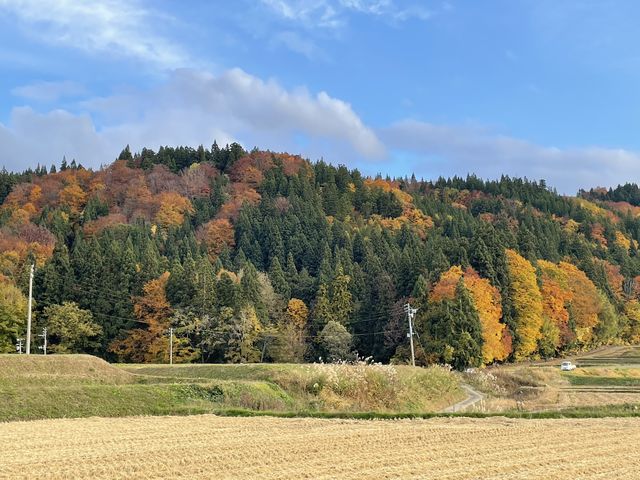 日本東北10日紅葉溫泉之旅