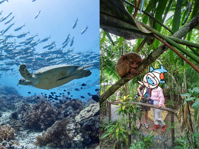 In April, go to Barikas Island and swim freely with the fish.