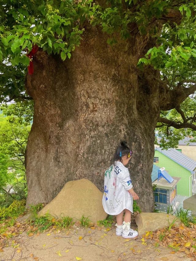 Go to the mountains and breathe in the forest | Off-the-beaten-path family hiking routes near Hangzhou