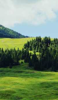 Plateau pastoral area