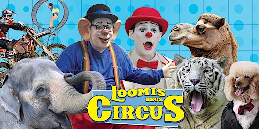Loomis Bros. Circus 2023 Tour - ELKTON (ST. AUGUSTINE), FL | Saint Johns County Fairgrounds