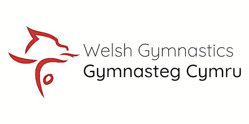 Welsh Acrobatic Championships 2023 | Sport Wales National Centre