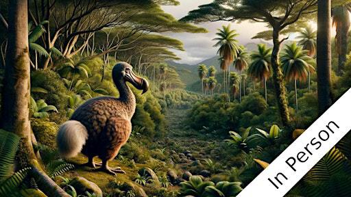 The Magic Herb (In Person) | The Joinery