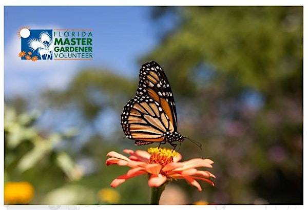 Florida-Friendly Butterfly Gardening | UF-IFAS Broward County Extension Auditorium OR AS NOTED - see detail.