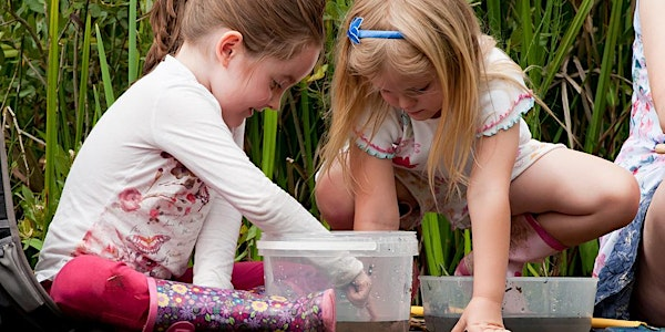 Summer Family Pond Dipping at Tyland Barn | Tyland Barn