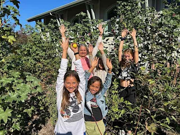 Waves of Green: Harnessing the Power of Miyawaki Forests | Martin Luther King Jr. Middle School