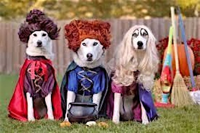 Best Dog costume contest adoption event and fundraiser. | 2040 Faria Preserve Pkwy