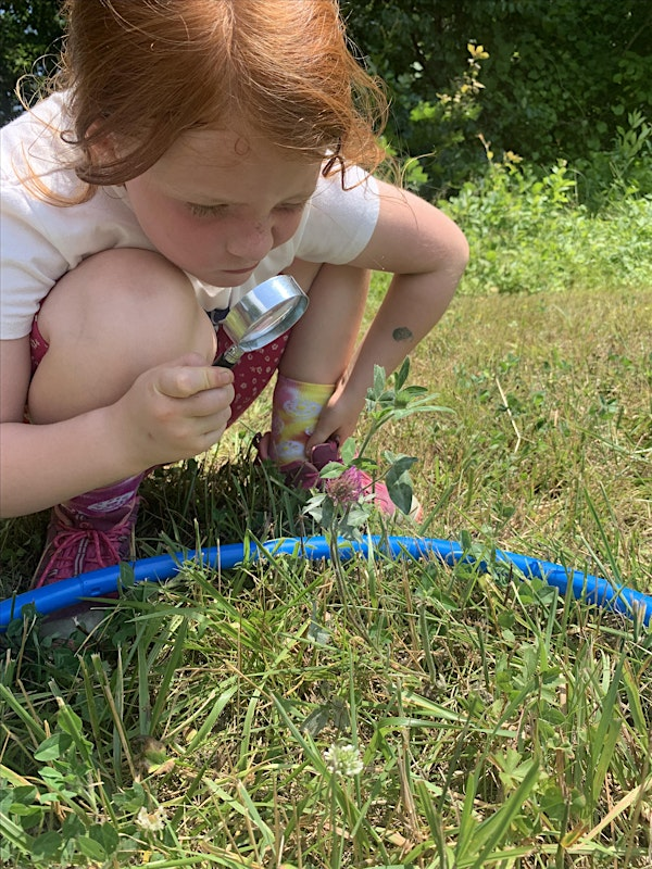 Sprout Scouts Springbrook Elementary School Grades K-4 | Barlow Nature Preserve