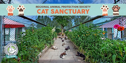 Visit the RAPS Cat Sanctuary | 3380 No 6 Rd