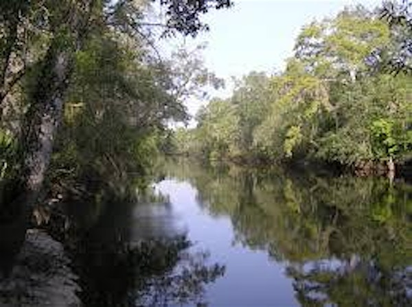 2026 CMS-Wildland Fire Committee Meeting | Hotel Effie Sandestin, Autograph Collection