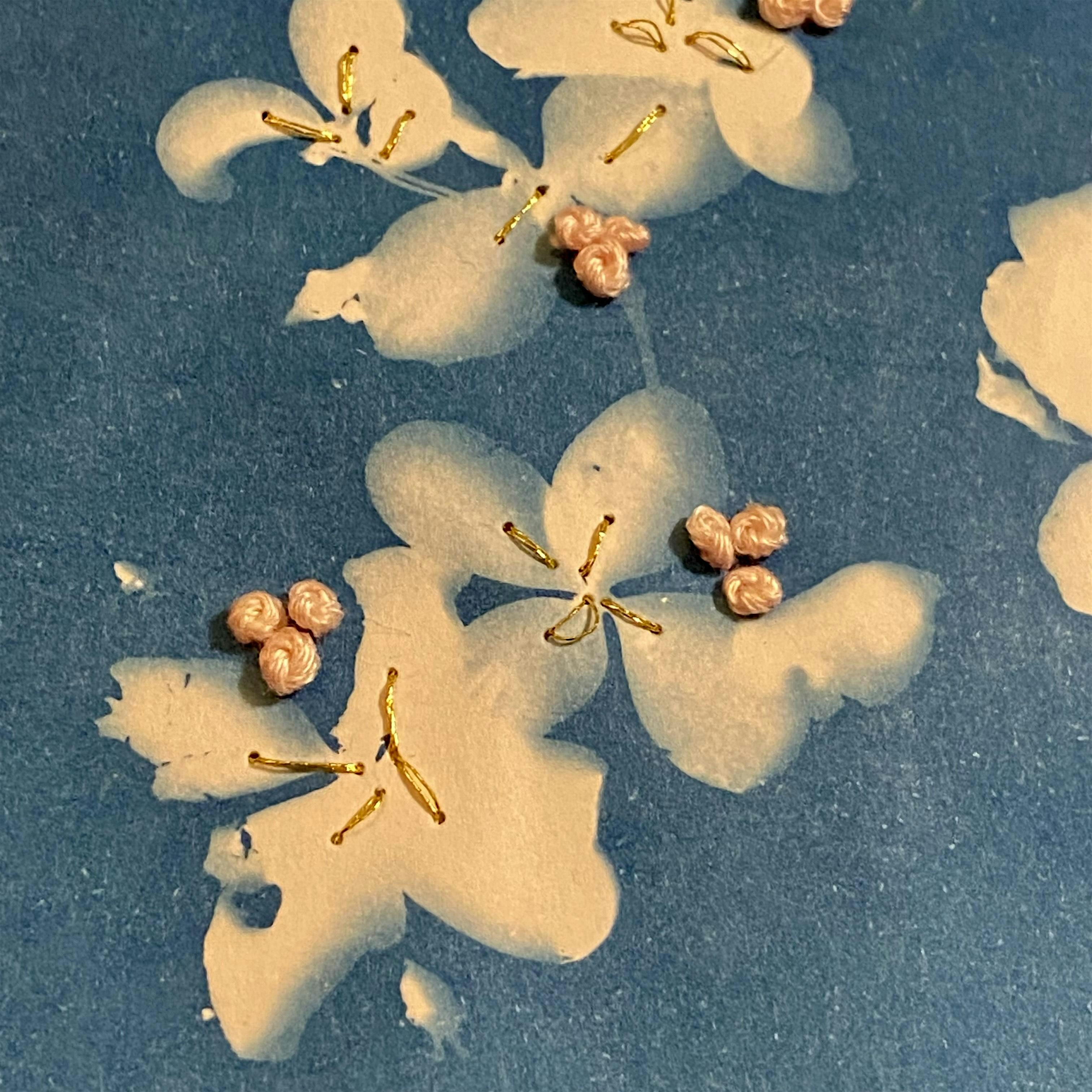 Cyanotypes at the Wetlands | ART EMERGENCY