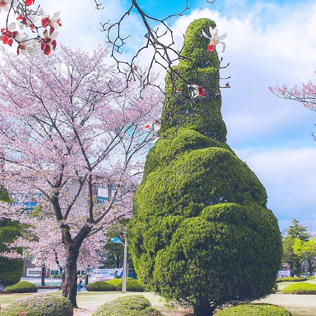 익산의 가볼만한곳!!