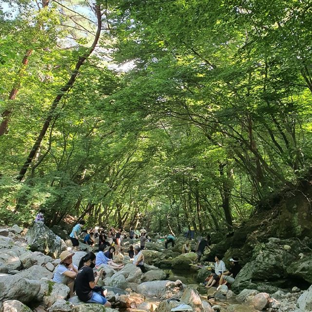 경기도 양평 나들이 추천 '용문사'