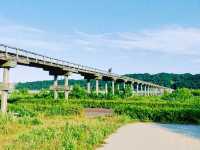 【静岡旅行】世界一長い木造歩道橋