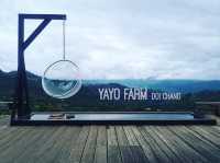 YAYO Farm มุมชิงช้านั่งชิลล์ชมวิวดอยช้าง