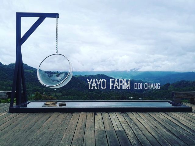 YAYO Farm มุมชิงช้านั่งชิลล์ชมวิวดอยช้าง