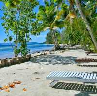 COVE ECO RESORT