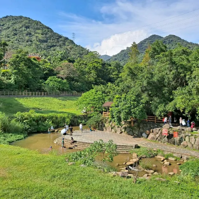 台北 | 隱藏在繁華市區內的生態祕境「大溝溪生態治水園區」！