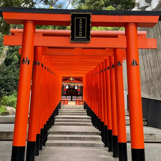 【神戸】生田神社｜ファミリアコラボ お守りがかわいすぎた♡