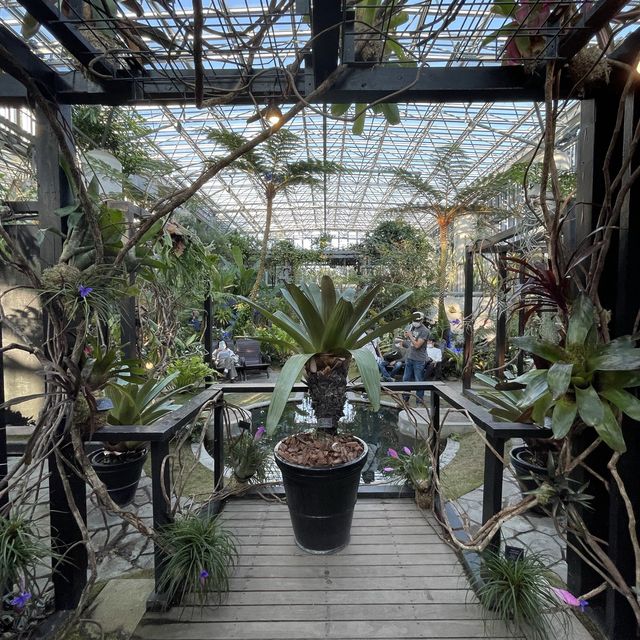 夢の植物園