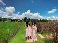 คาเฟ่ธรรมชาติ นอนนาคาเฟ่