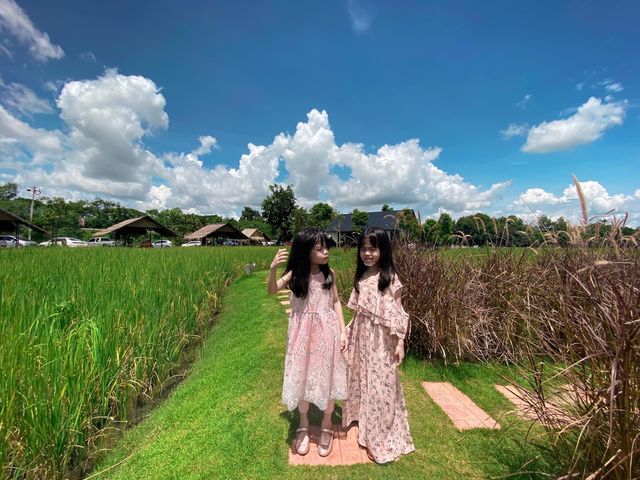คาเฟ่ธรรมชาติ นอนนาคาเฟ่