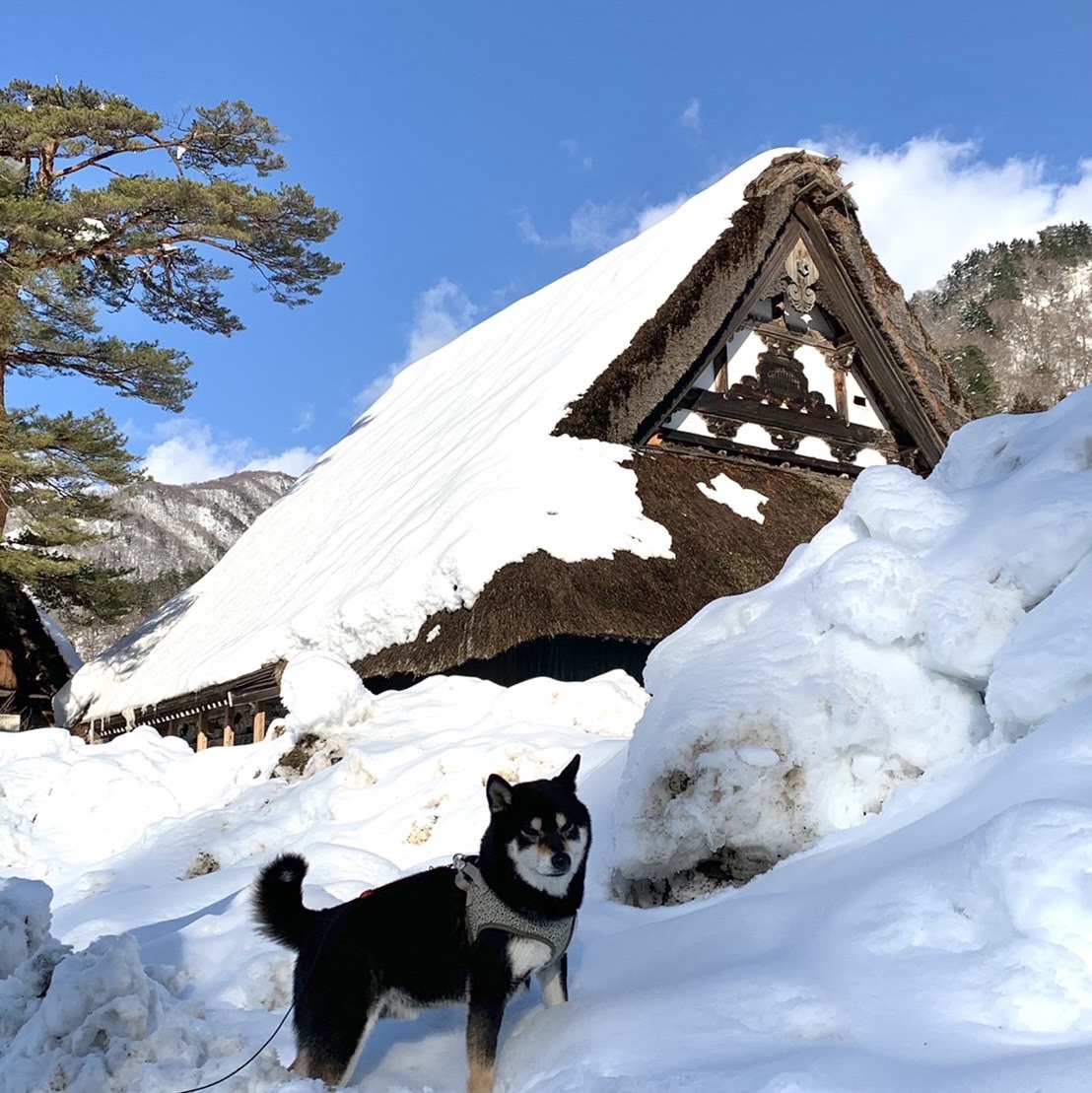 Tripメモリーで 合掌造りをチェック Trip Comトラベルガイド