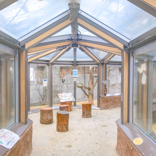 冬の円山動物園・こども動物園