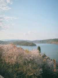 🌸진주 진양호공원🌸