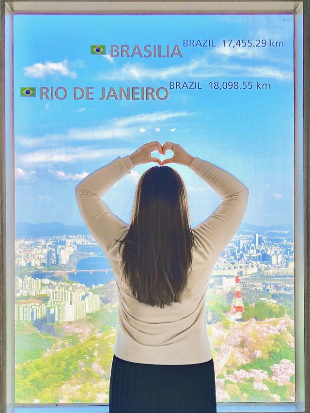 벚꽃엔딩은 이 곳에서, 남산 전망대🗼