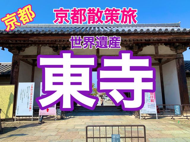 京都　京都散策旅　念願の東寺！東寺と桜のコラボに感動❗️