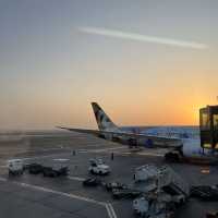 Etihad Airways 