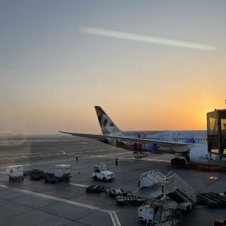 Etihad Airways 
