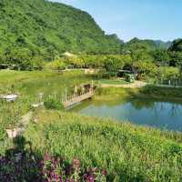 寧平必玩景點--松芽鳥類生態旅遊區Khu du lịch sinh thái Thung Nham - Ninh Bình