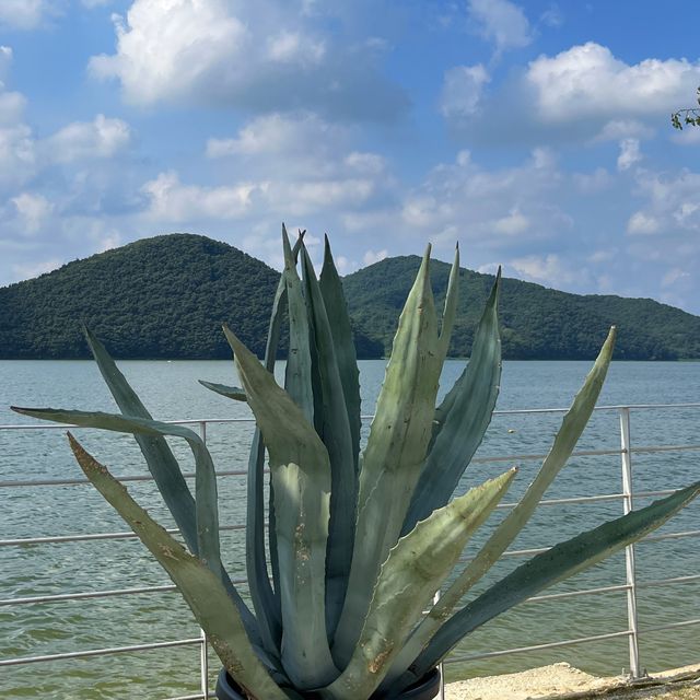 🌱용인 신상카페 :: 그린웨일🌱
