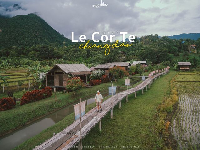𝐋𝐞 𝐂𝐨𝐫 𝐓𝐞 เชียงดาว จ.เชียงใหม่