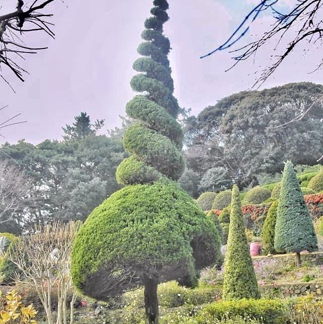 Odeo Island Botanical Garden, Geoje