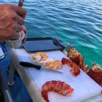 新鮮海鮮🦞之旅親手活捉海鮮塔斯曼尼亞初體驗