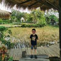 บรรยากาศชิลกับวิวทุ่งนา@Montreux café and farm