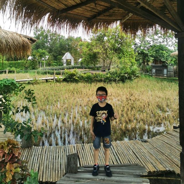 บรรยากาศชิลกับวิวทุ่งนา@Montreux café and farm