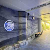 🇰🇷 CheongDam Free Zone